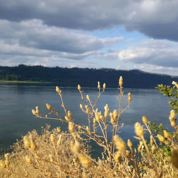 Meet your Posher, Hale - Picture 1 of 1